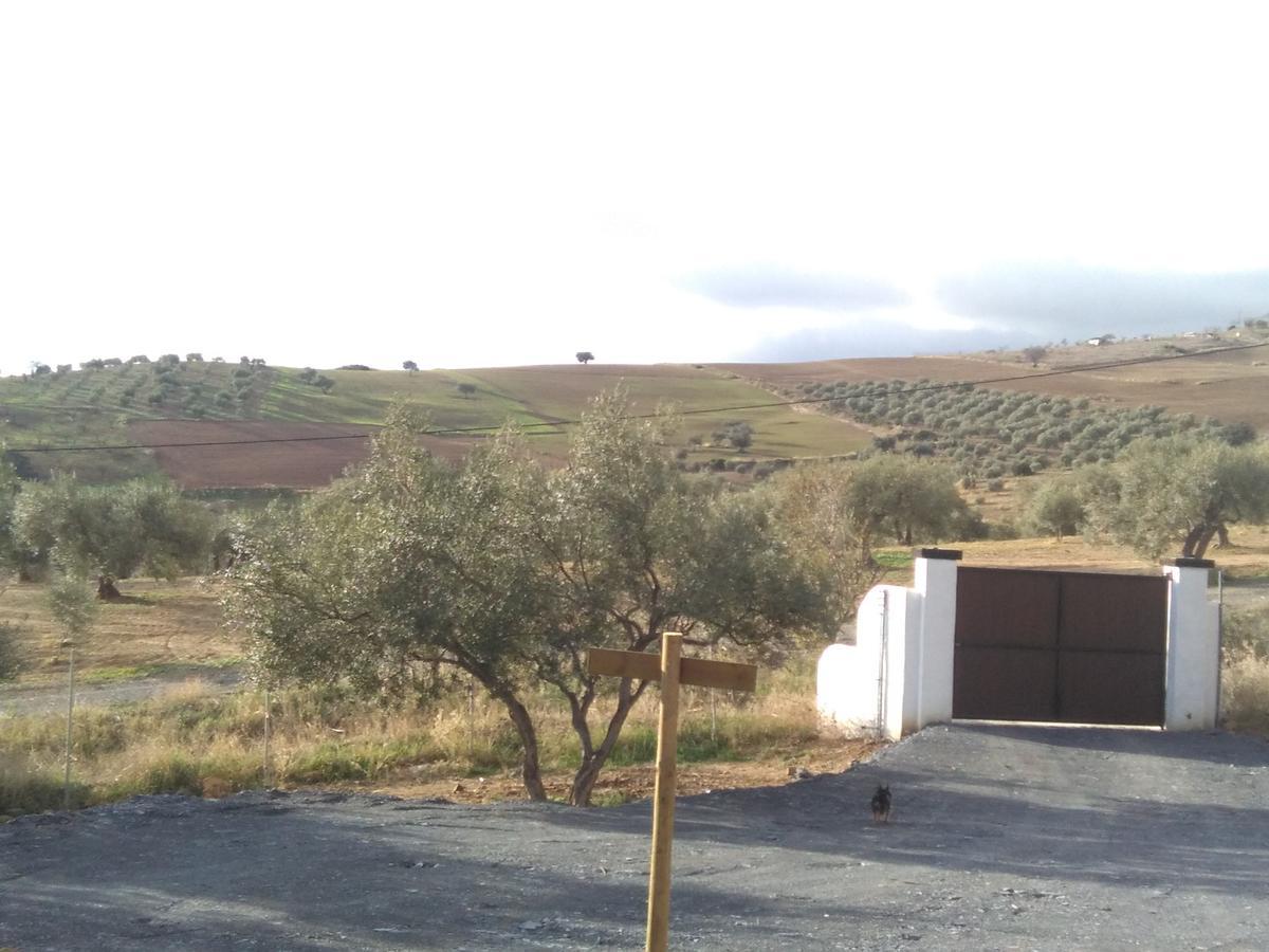 Biznaga Konuk evi Casabermeja Dış mekan fotoğraf