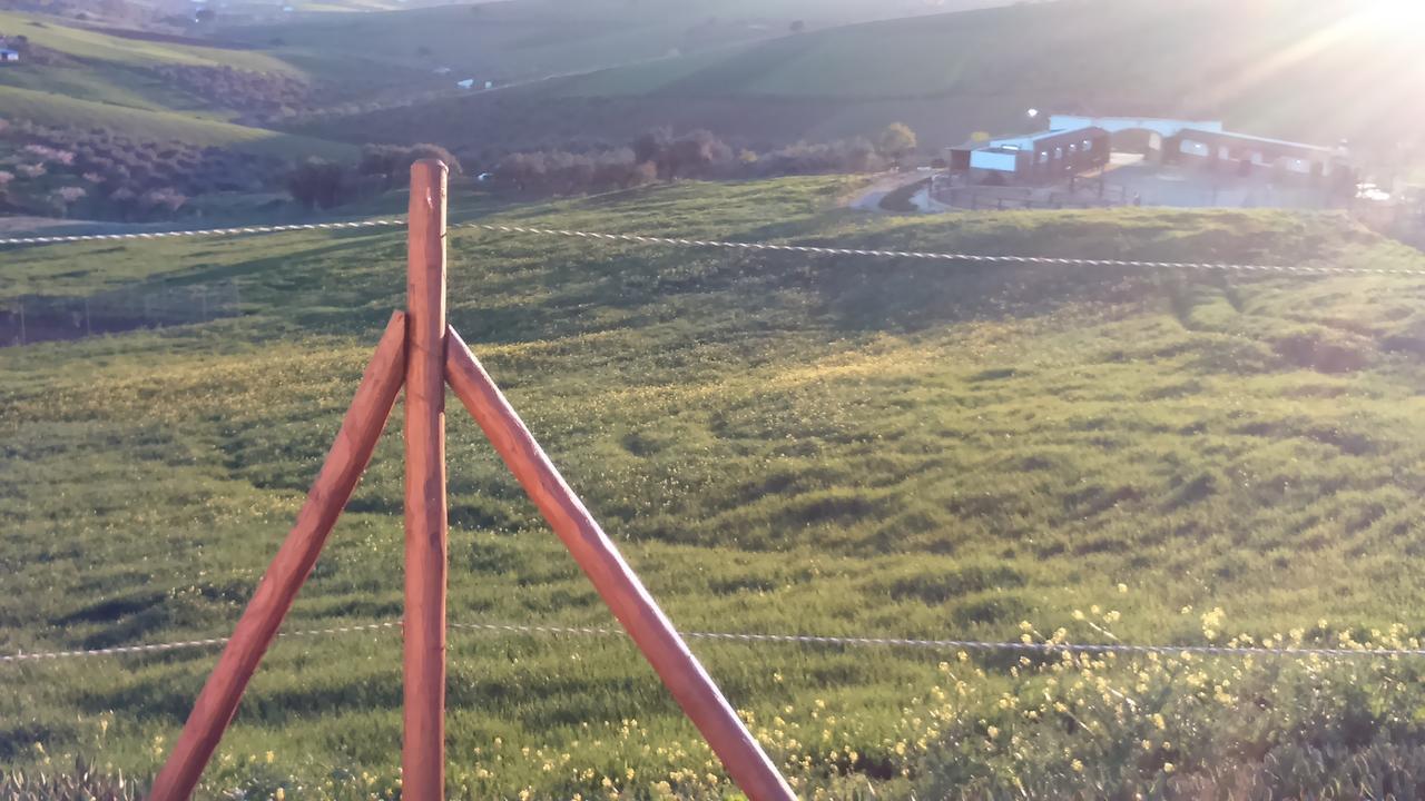 Biznaga Konuk evi Casabermeja Dış mekan fotoğraf