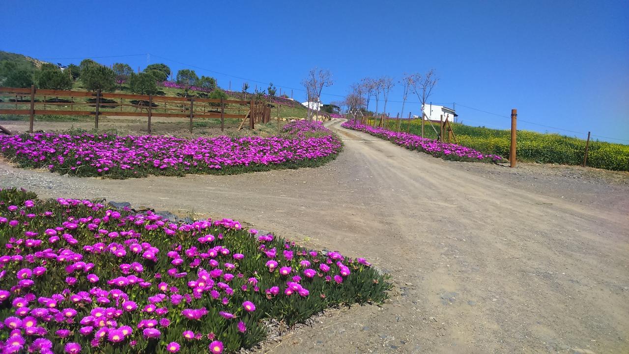 Biznaga Konuk evi Casabermeja Dış mekan fotoğraf