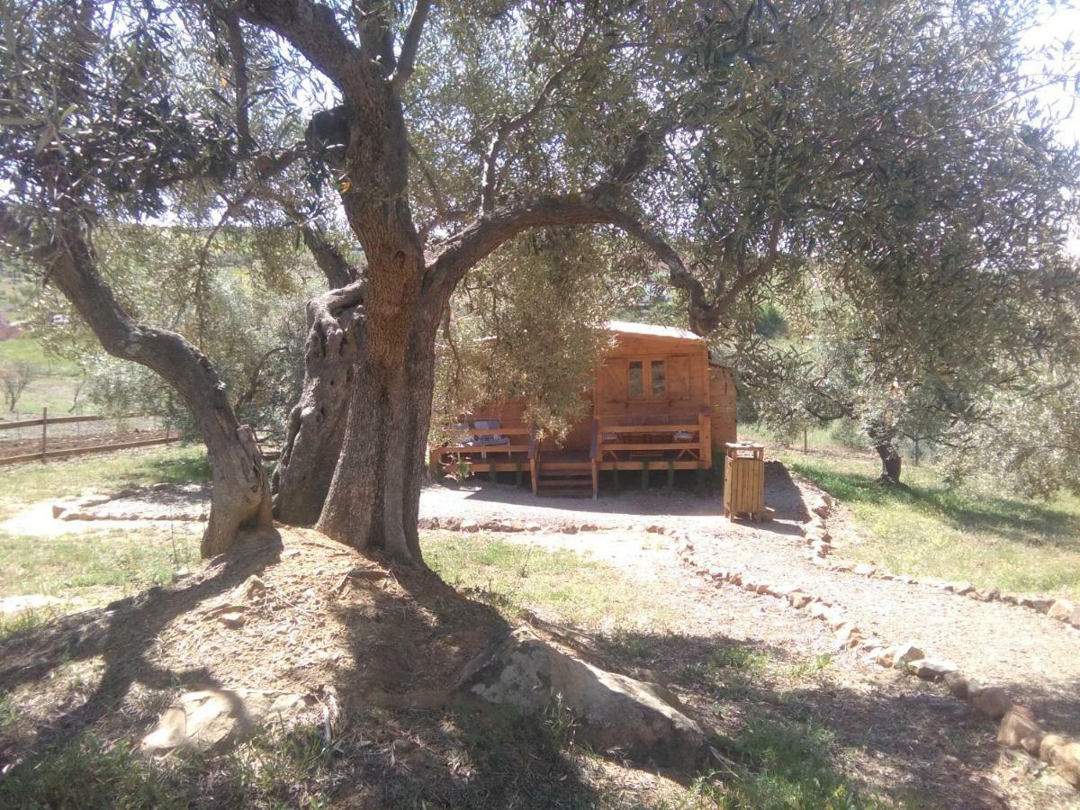 Biznaga Konuk evi Casabermeja Dış mekan fotoğraf