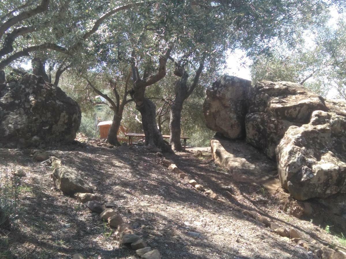 Biznaga Konuk evi Casabermeja Dış mekan fotoğraf