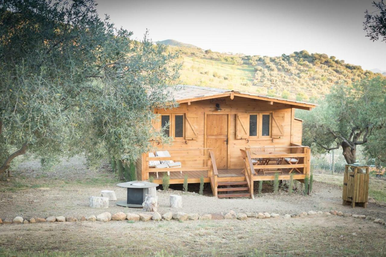 Biznaga Konuk evi Casabermeja Dış mekan fotoğraf
