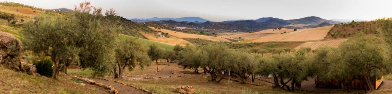 Biznaga Konuk evi Casabermeja Dış mekan fotoğraf